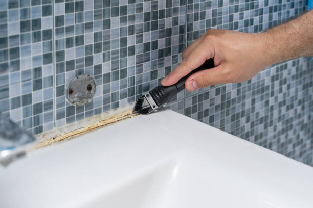 Best Home Mold Removal  in Hickman, NE