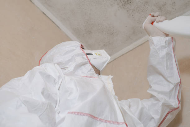 Best Mold Testing  in Hickman, NE