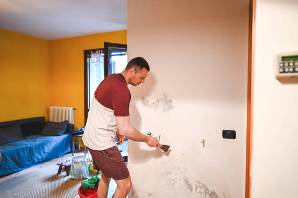 Best Certified Mold Removal  in Hickman, NE